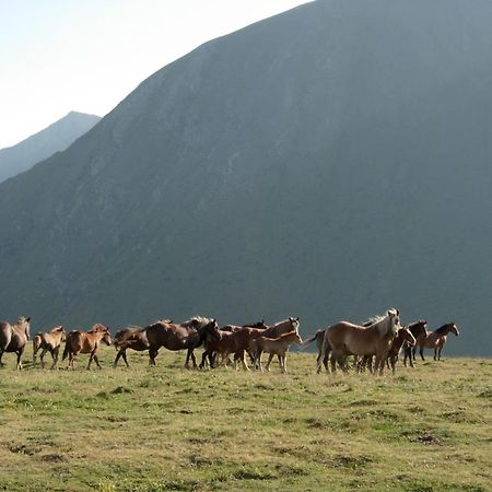 Casa Rural Era De Ferro Erill la Vall Buitenkant foto