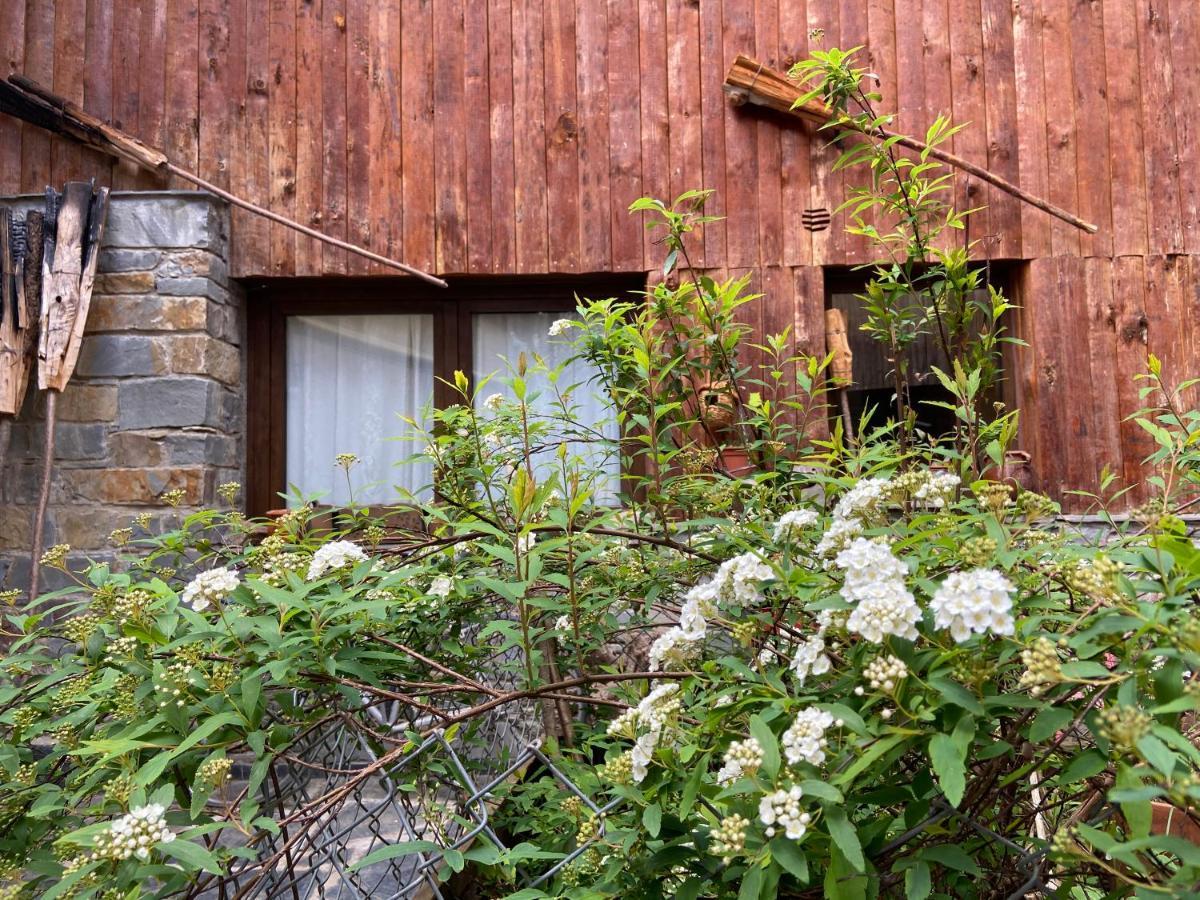 Casa Rural Era De Ferro Erill la Vall Buitenkant foto